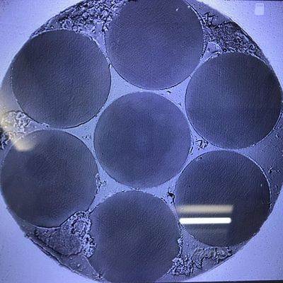 多中心の光ファイバーの科学研究プロダクト6六角形は整理した
