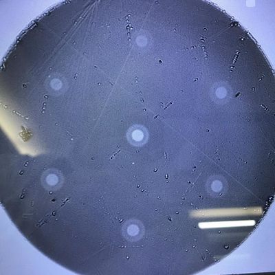 多中心の光ファイバーの科学研究プロダクト6六角形は整理した